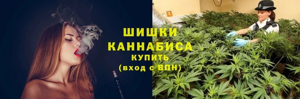 крисы Горнозаводск