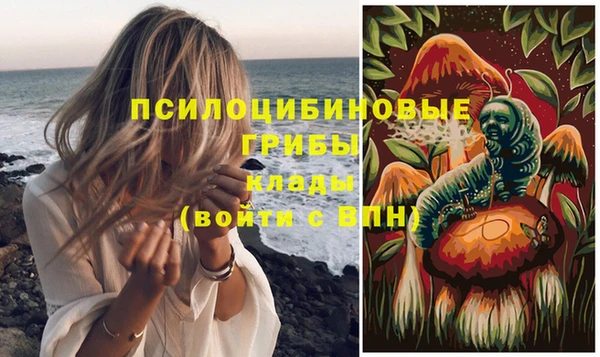 кристаллы Гусев